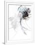 Gramercy White
