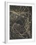 Chelsea White