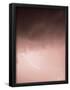 Essential Black