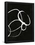 Essential Black