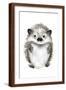 Brown Frame