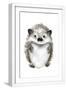 White Frame