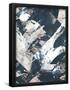 Essential Black