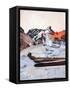 Canvas Black