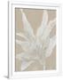Gramercy White