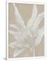 Gramercy White