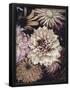 Essential Black