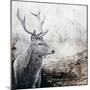 Wood Mount