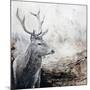 Wood Mount