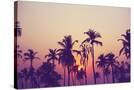 Stretched Canvas