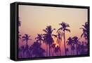 Canvas Black