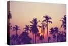 Stretched Canvas