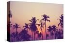 Stretched Canvas