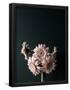 Essential Black