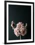 Gramercy Black