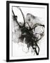 Gramercy Black