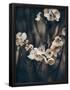 Essential Black