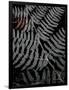 Gramercy Black