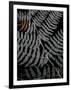 Gramercy Black