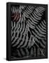 Essential Black
