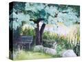 Stretched Canvas