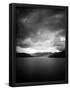 Essential Black