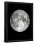 Essential Black