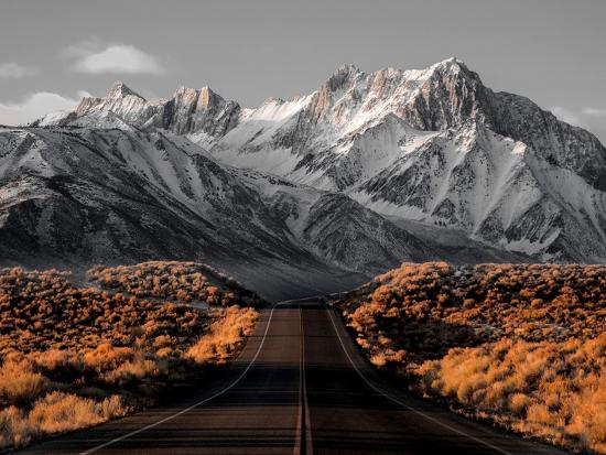 Photographic Print, , large