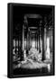 Essential Black