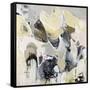 Canvas Black