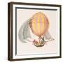 Design for a Dirigible, French, circa 1785-null-Framed Giclee Print