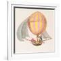 Design for a Dirigible, French, circa 1785-null-Framed Giclee Print