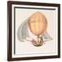 Design for a Dirigible, French, circa 1785-null-Framed Giclee Print