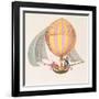 Design for a Dirigible, French, circa 1785-null-Framed Giclee Print