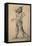 Design For a Dragon-Giuseppe Arcimboldo-Framed Stretched Canvas