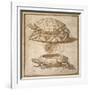 Design for a Lidded Box in the Shape of a Tortoise, Shown Open and Shut-Giulio Romano-Framed Giclee Print