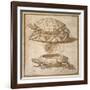 Design for a Lidded Box in the Shape of a Tortoise, Shown Open and Shut-Giulio Romano-Framed Giclee Print