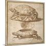 Design for a Lidded Box in the Shape of a Tortoise, Shown Open and Shut-Giulio Romano-Mounted Giclee Print