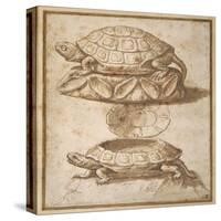 Design for a Lidded Box in the Shape of a Tortoise, Shown Open and Shut-Giulio Romano-Stretched Canvas