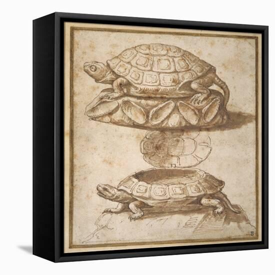 Design for a Lidded Box in the Shape of a Tortoise, Shown Open and Shut-Giulio Romano-Framed Stretched Canvas