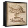 Design for a Lidded Box in the Shape of a Tortoise, Shown Open and Shut-Giulio Romano-Framed Stretched Canvas