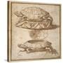 Design for a Lidded Box in the Shape of a Tortoise, Shown Open and Shut-Giulio Romano-Stretched Canvas