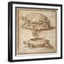 Design for a Lidded Box in the Shape of a Tortoise, Shown Open and Shut-Giulio Romano-Framed Giclee Print