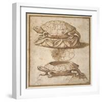 Design for a Lidded Box in the Shape of a Tortoise, Shown Open and Shut-Giulio Romano-Framed Giclee Print