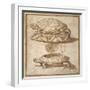 Design for a Lidded Box in the Shape of a Tortoise, Shown Open and Shut-Giulio Romano-Framed Giclee Print