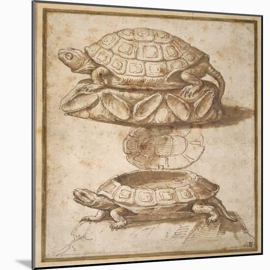 Design for a Lidded Box in the Shape of a Tortoise, Shown Open and Shut-Giulio Romano-Mounted Giclee Print