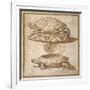 Design for a Lidded Box in the Shape of a Tortoise, Shown Open and Shut-Giulio Romano-Framed Giclee Print