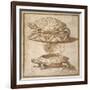 Design for a Lidded Box in the Shape of a Tortoise, Shown Open and Shut-Giulio Romano-Framed Giclee Print