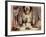 Design for Aeschylus: The Eumenides, c.1919-Charles Ricketts-Framed Giclee Print