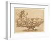 Design for an Elaborate Urn with Putto and Vines-Francesco De Rossi Salviati Cecchino-Framed Giclee Print